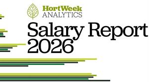 Salary Report 2026